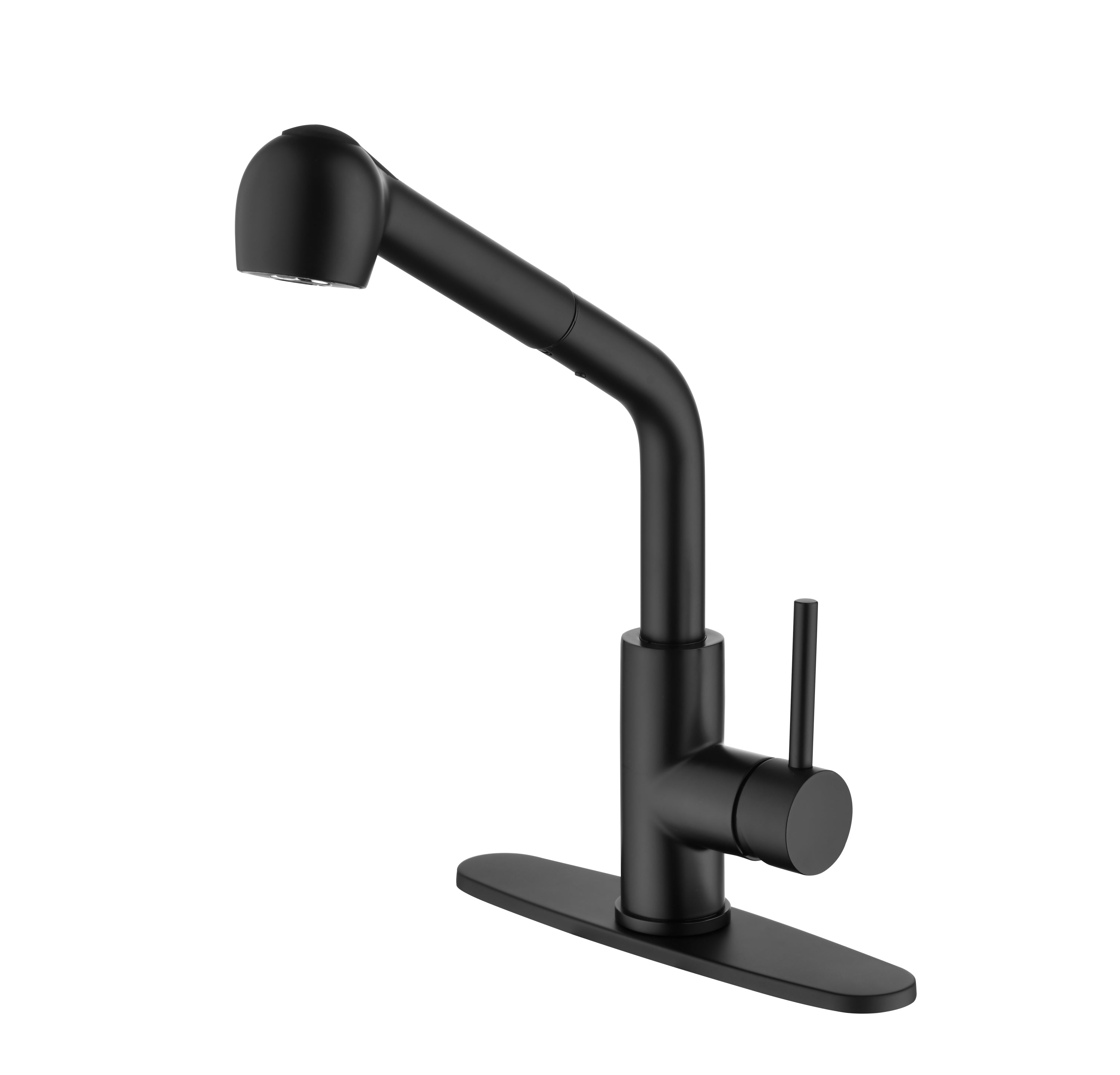 Matte Black Kitchen Faucet: Pull-Down Sprayer