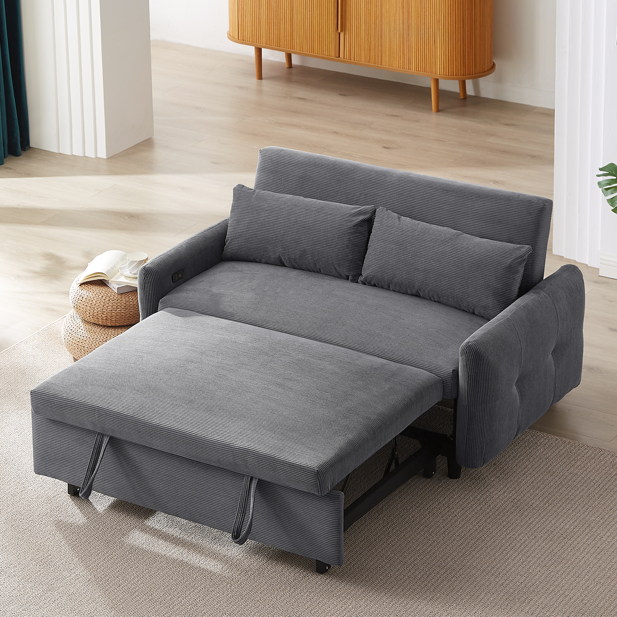 Pull-Out Sofa Bed: Modern 2-Seat Sleeper Sofa