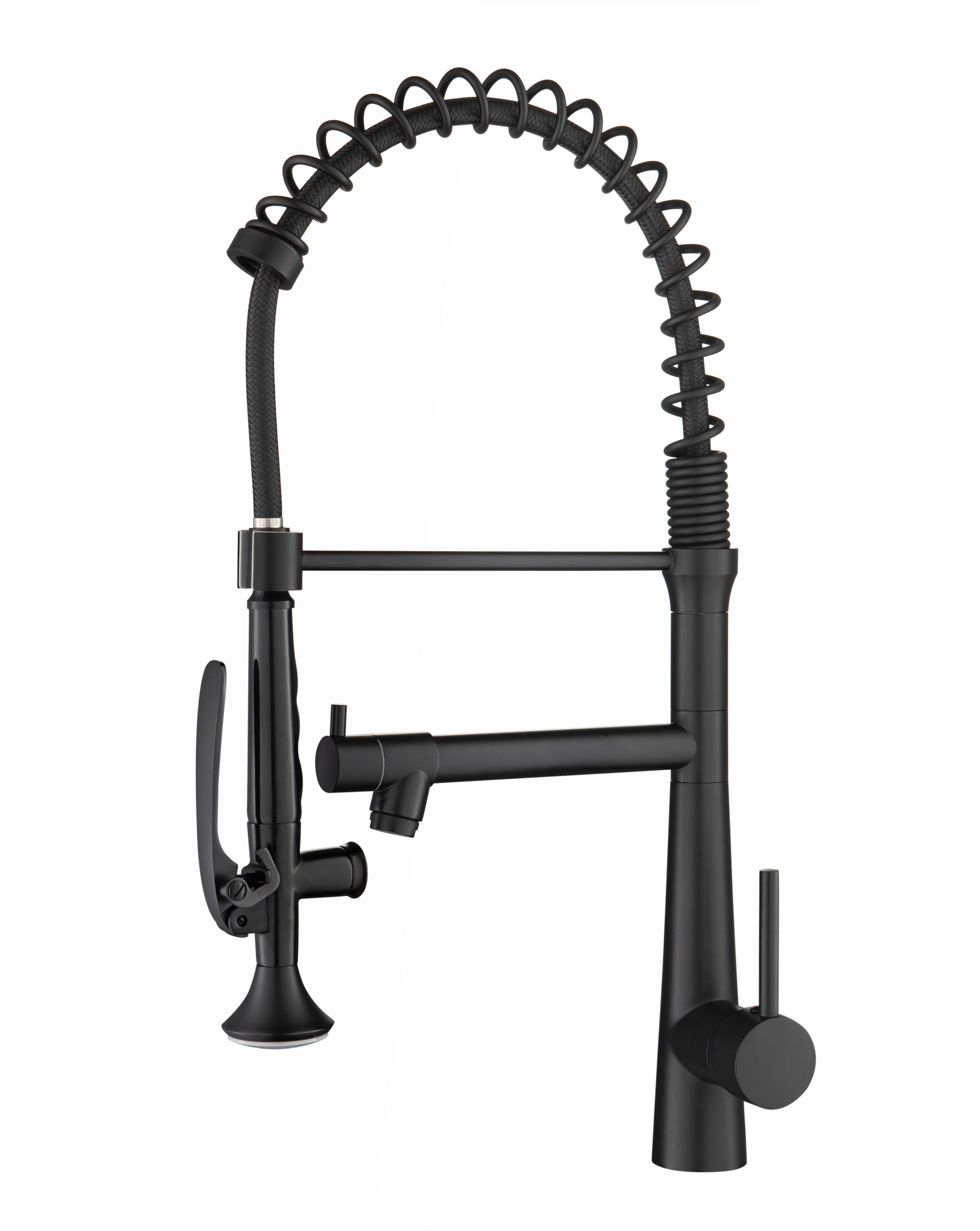 Matte Black Pull-Down Kitchen Faucet w/ Sprayer