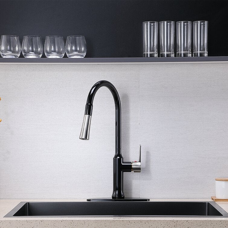Single Handle Kitchen Faucet: Pull Down & Accessories