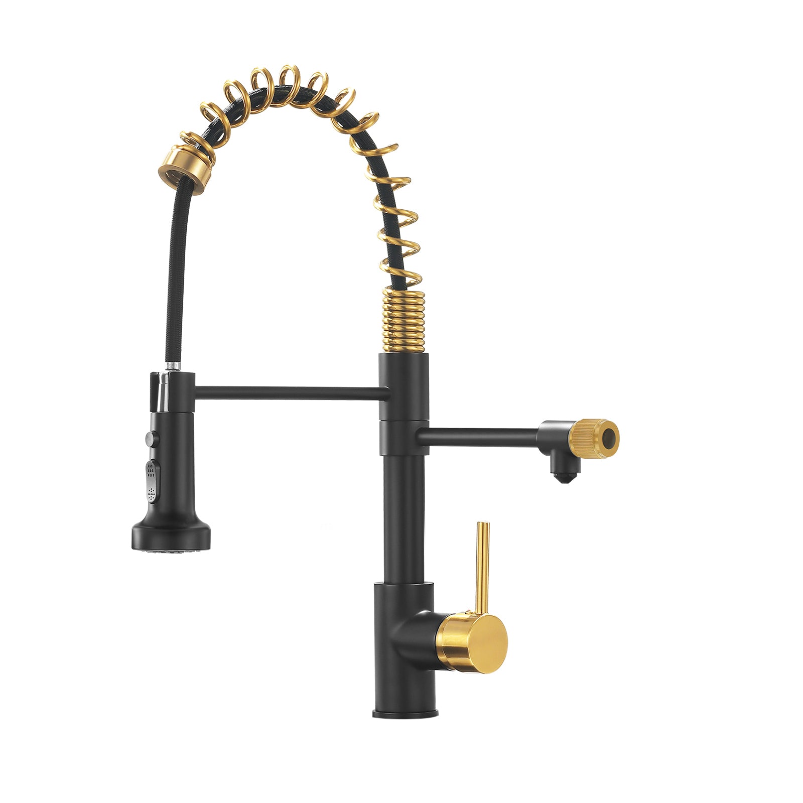 Black & Gold Kitchen Faucet with Water Filter