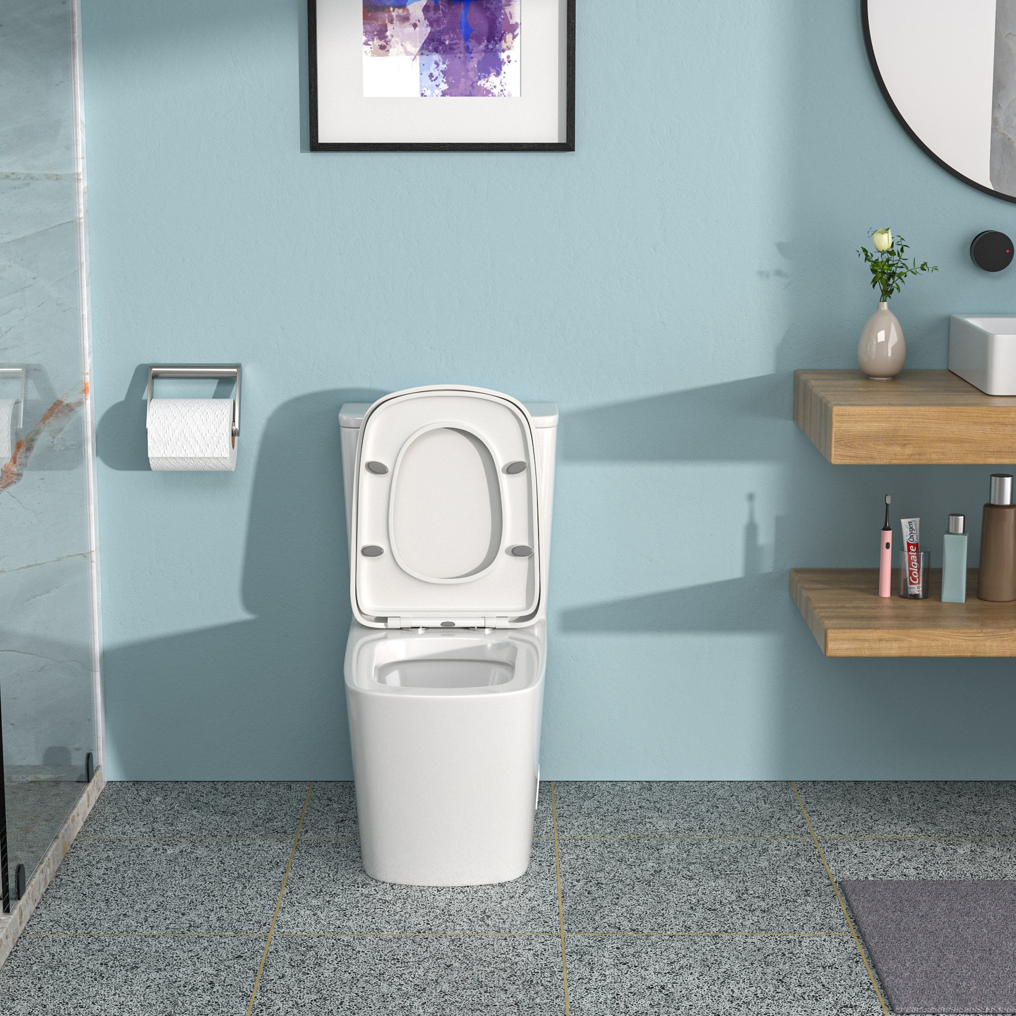 Ceramic One-Piece Toilet: Dual Flush, Soft Close