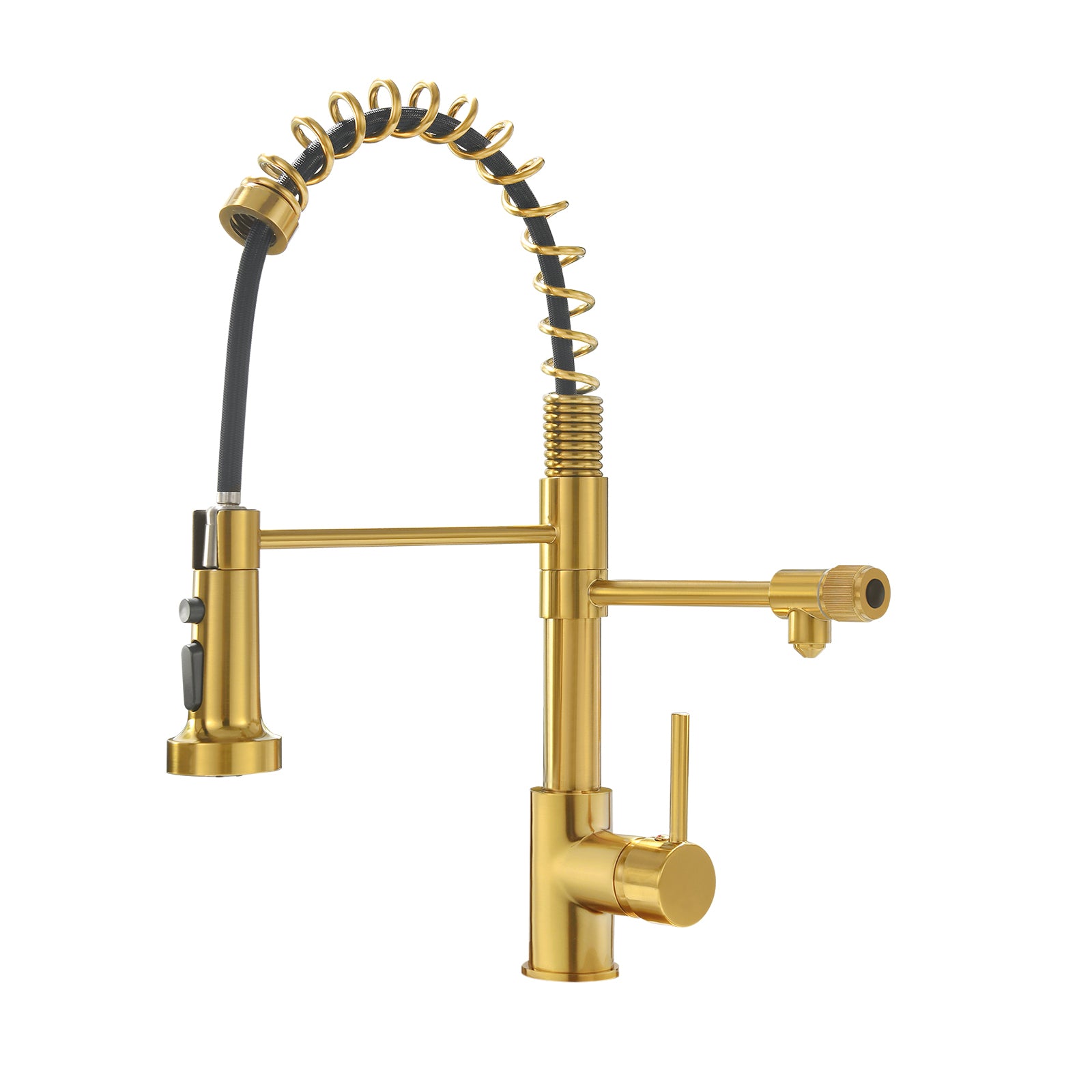Black/Nickel Gold Kitchen Faucet with Filter