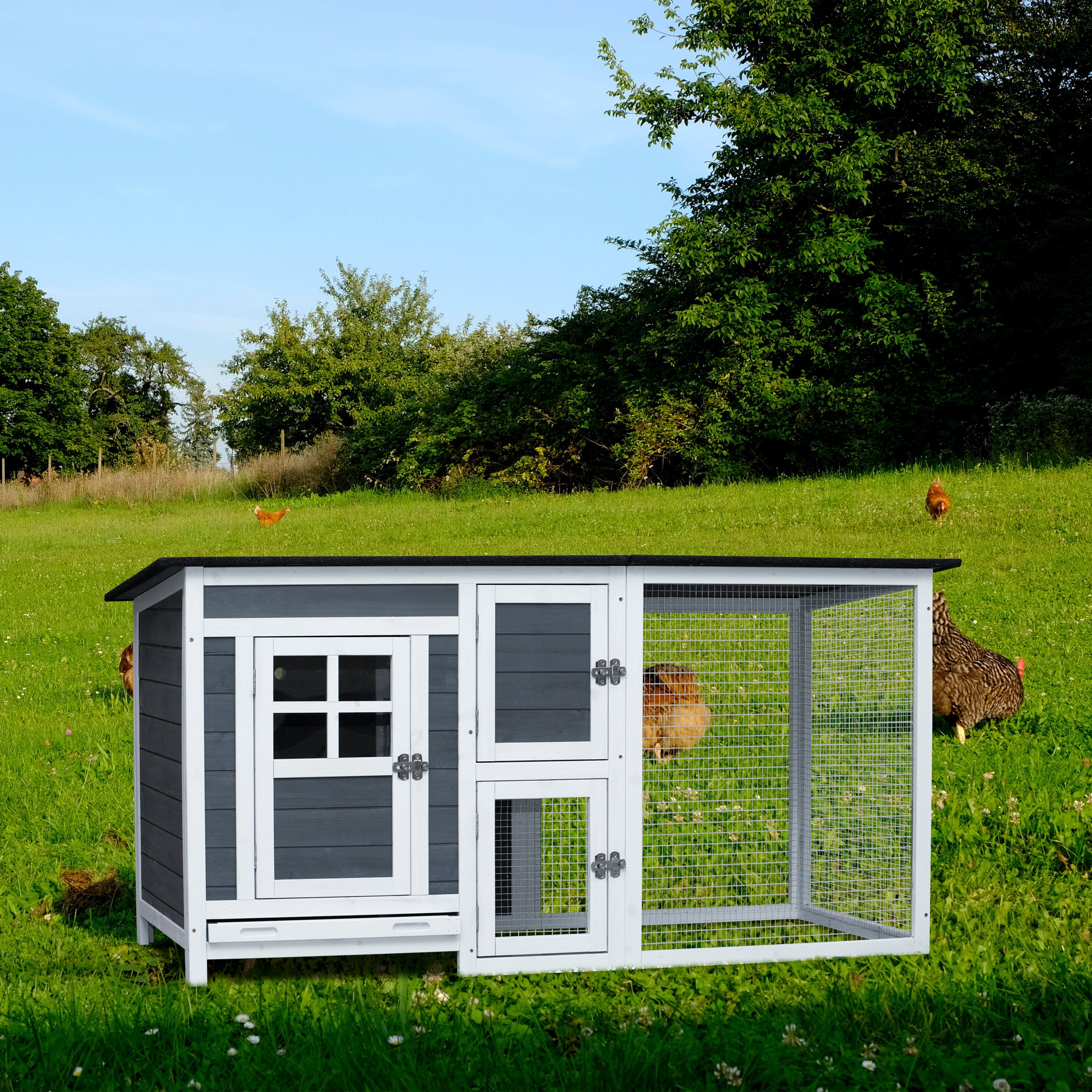 Best Outdoor Chicken Coop & Run