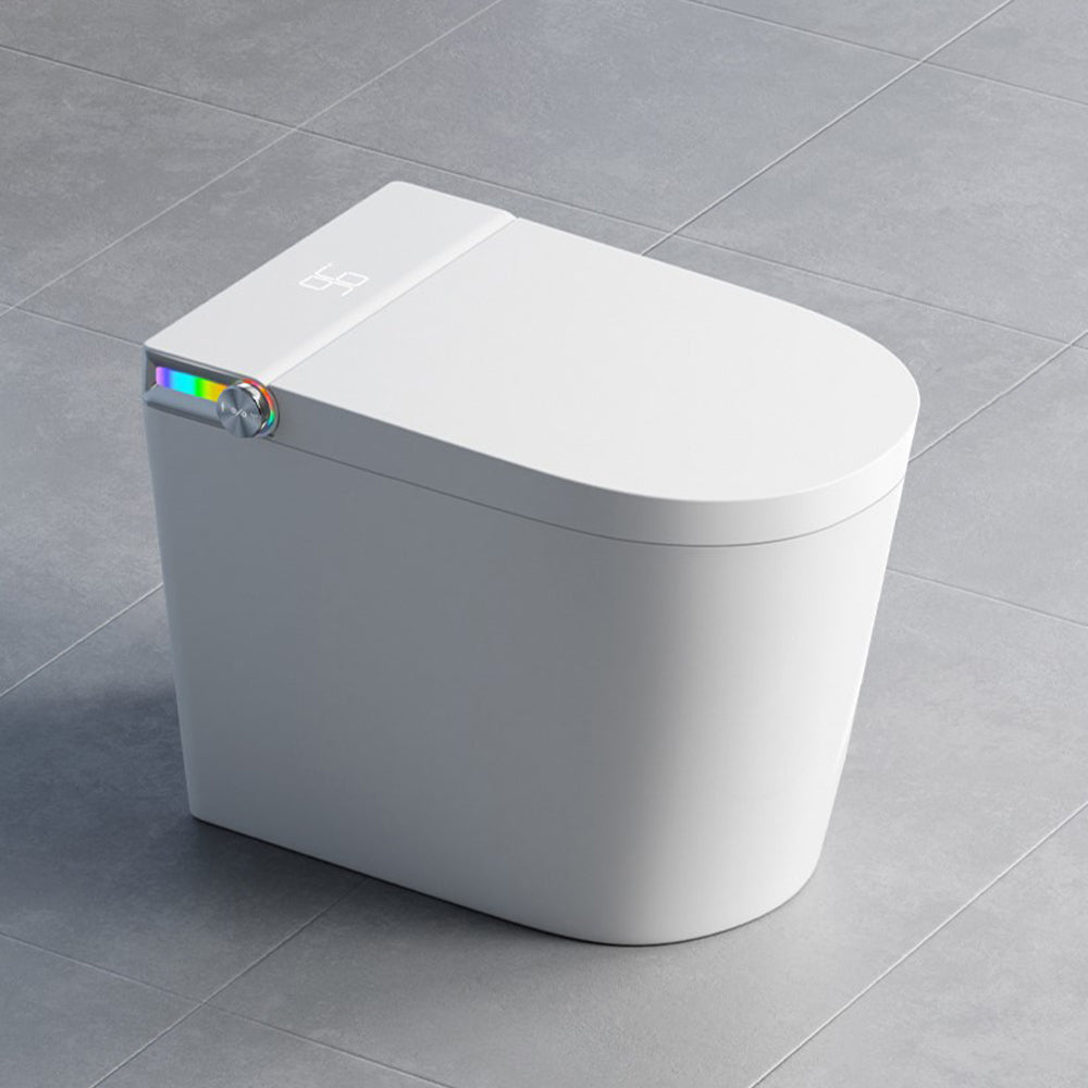 Smart Toilet TS01-G: Foot Sensor, Auto Flush, No Water Pressure Limit