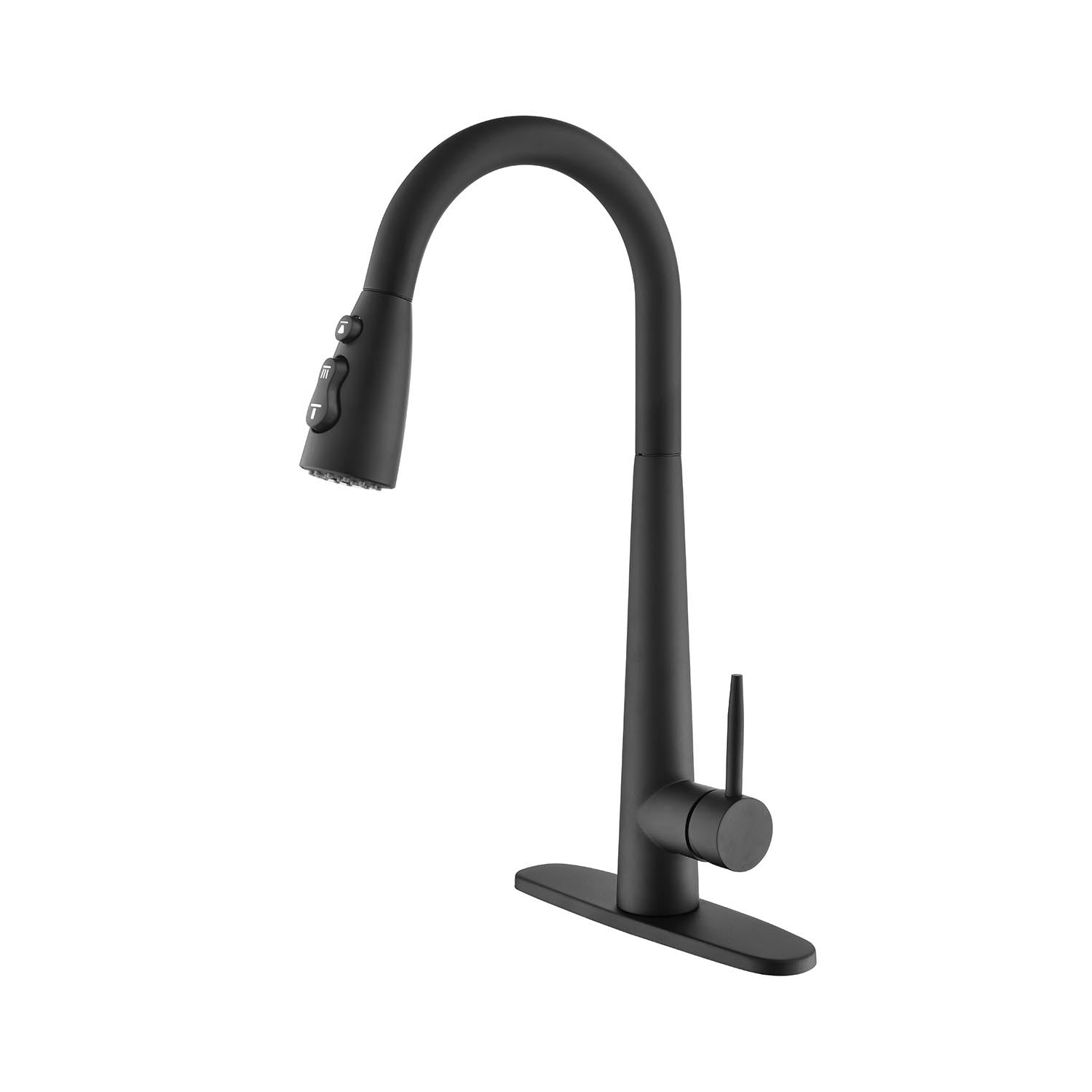 Pull-Down Kitchen Faucet: Sprayer & Style