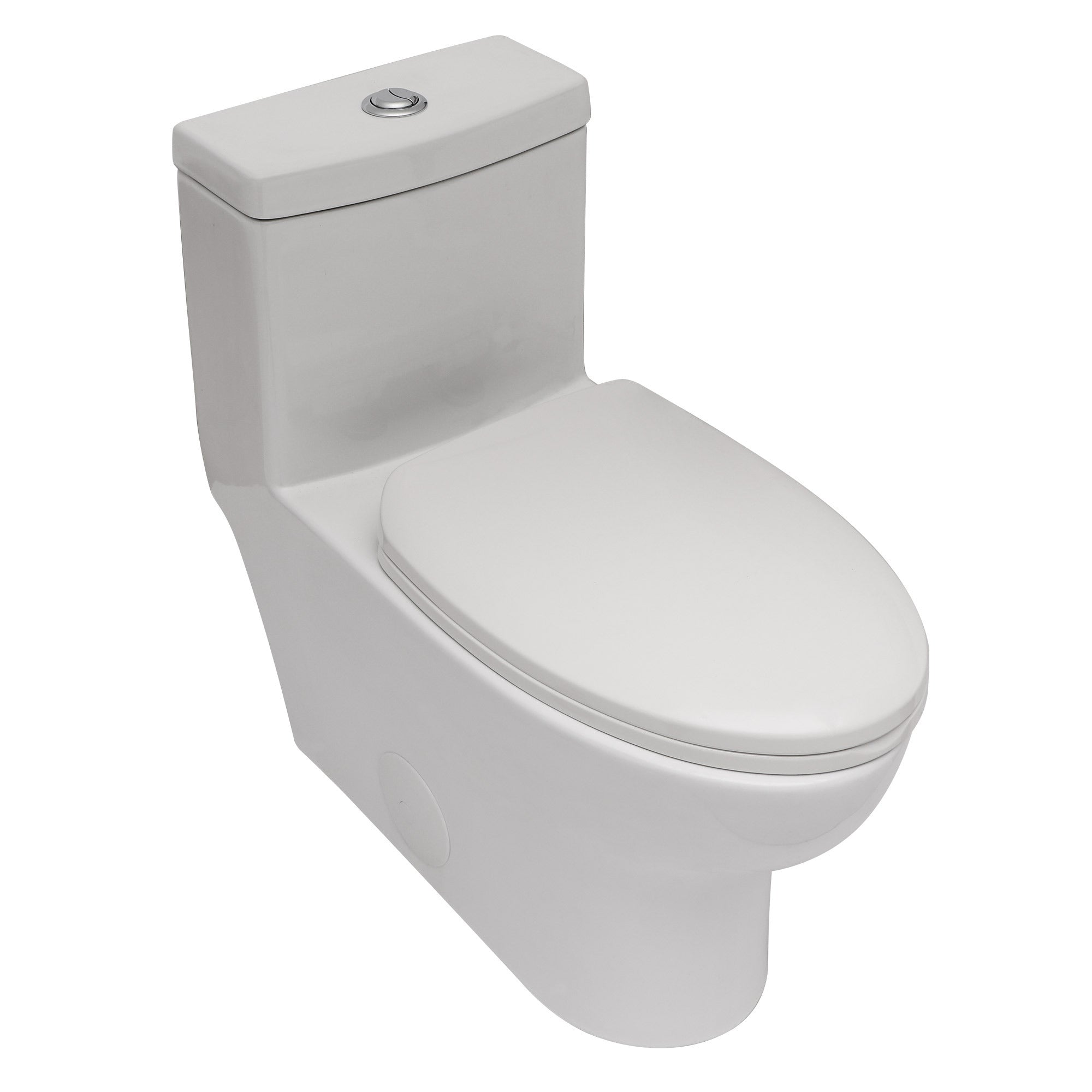 Ceramic One-Piece Toilet: Dual Flush, Soft Close