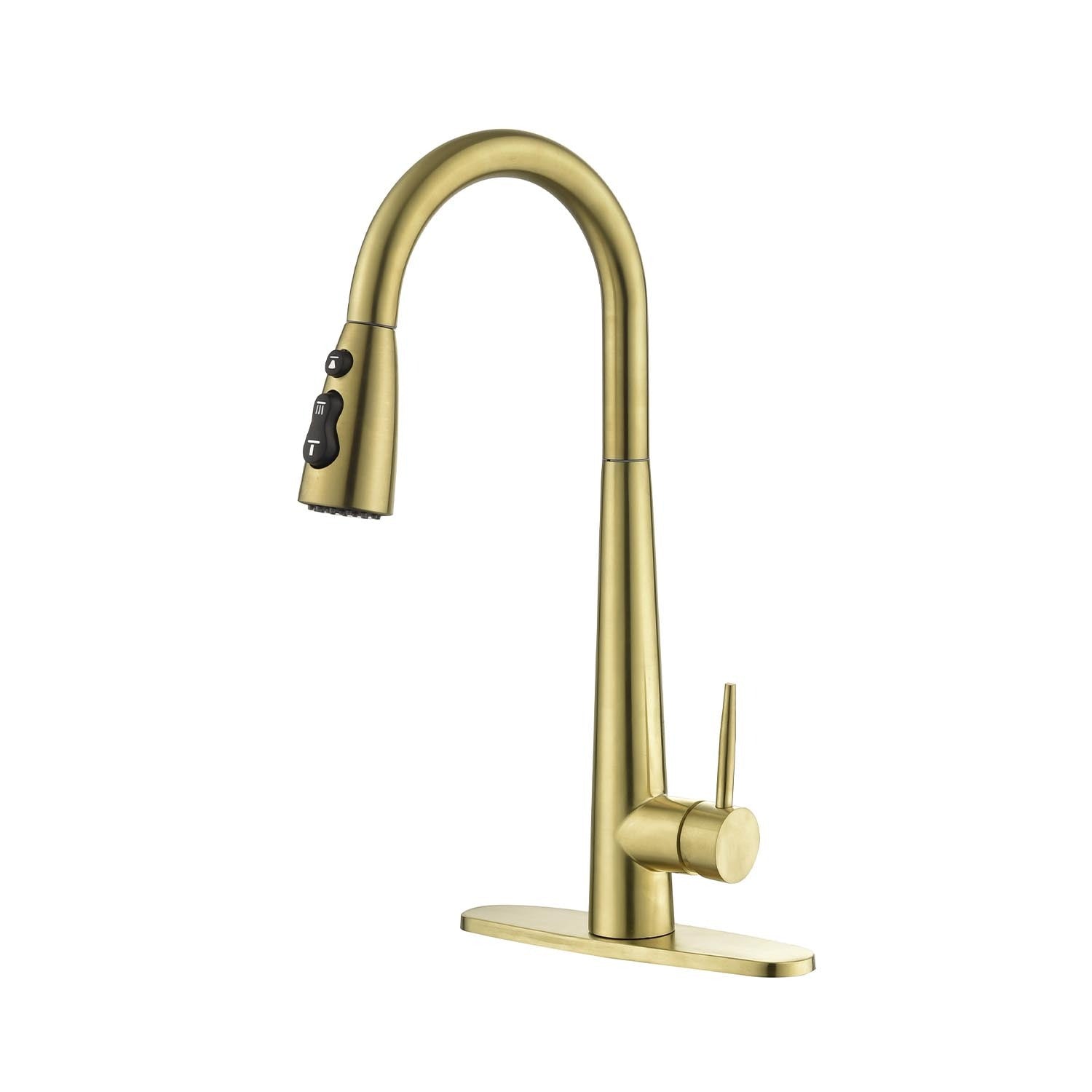 Pull-Down Kitchen Faucet: Sprayer & Style