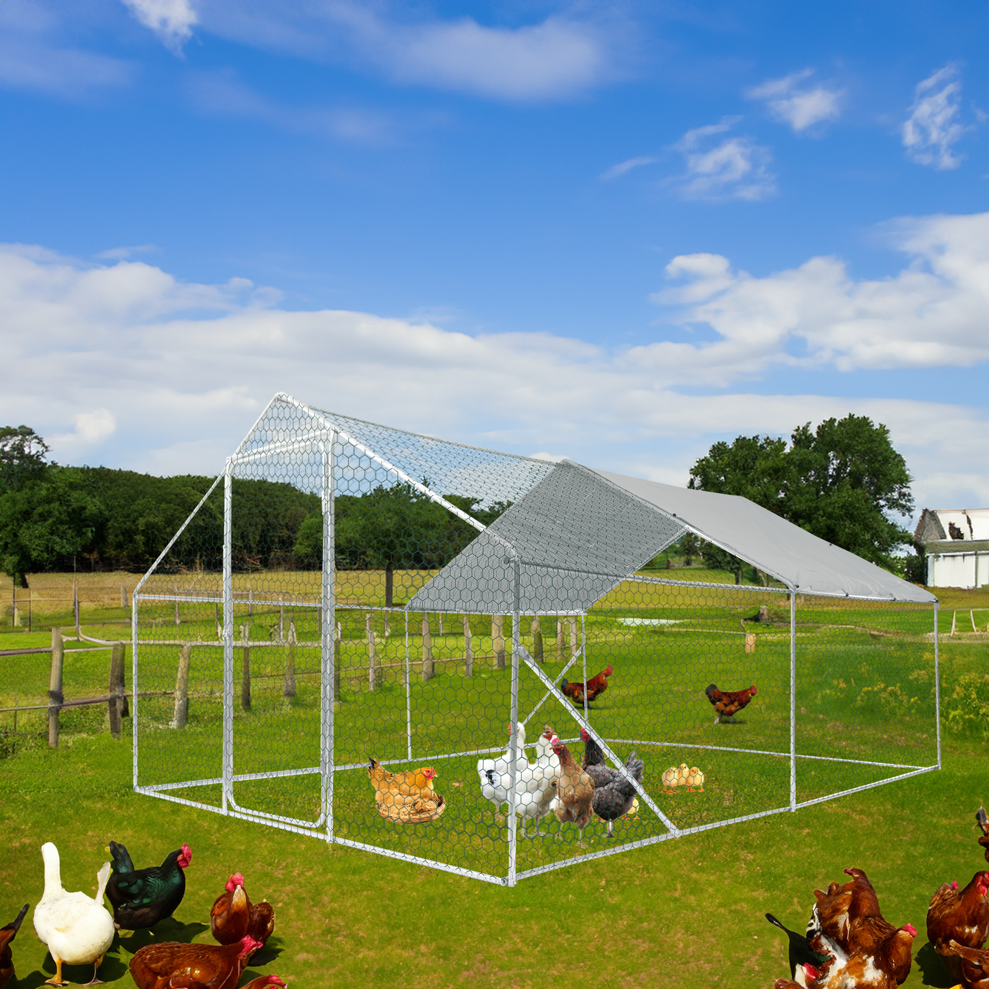 Giant Metal Chicken Coop (13x10x6ft)