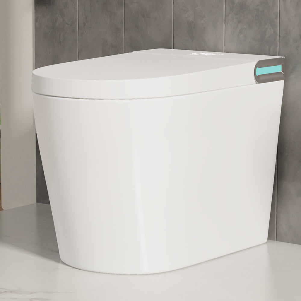 Smart Toilet: Instant Heat, Auto Flush, Leakproof