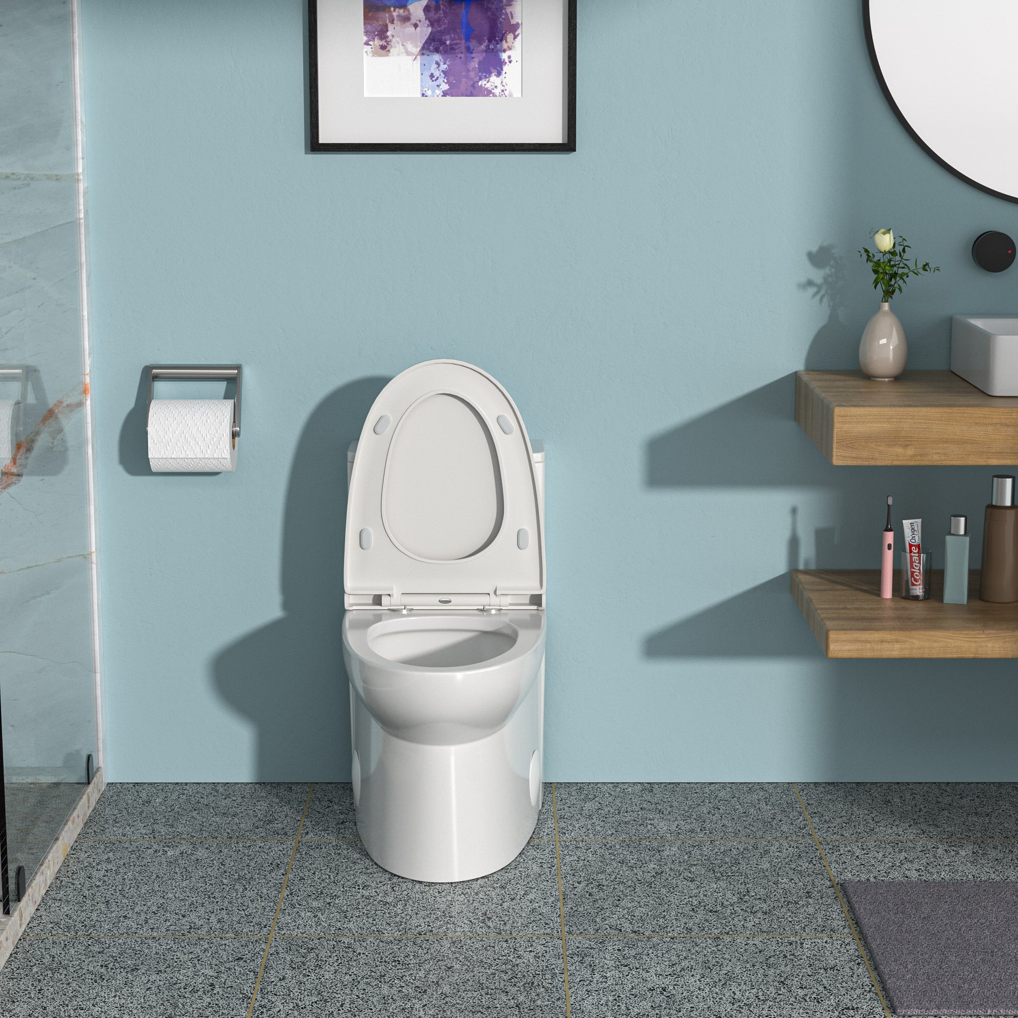 Ceramic One-Piece Toilet: Dual Flush, Soft Close