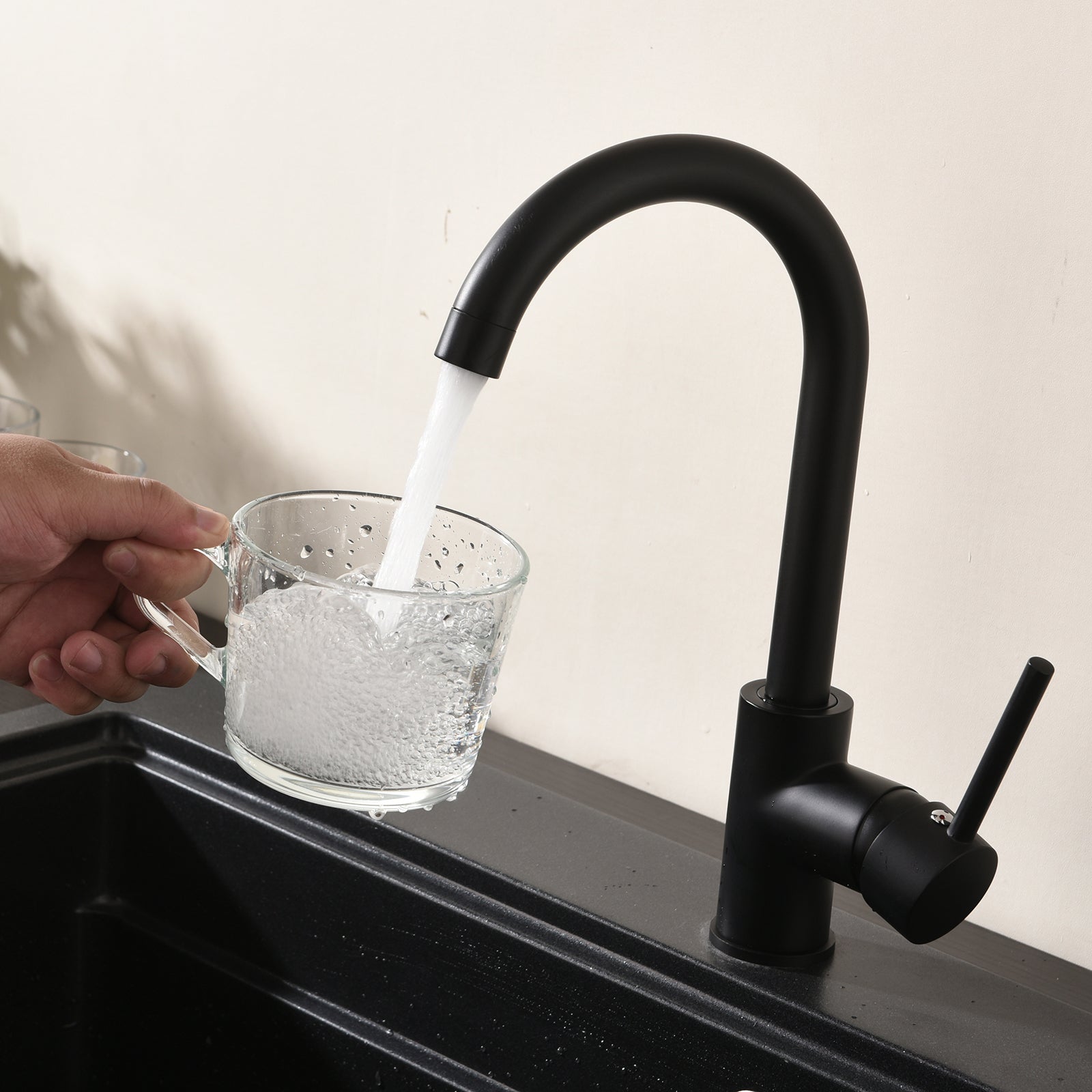 Matte Black Kitchen Faucet: Single Handle, Modern